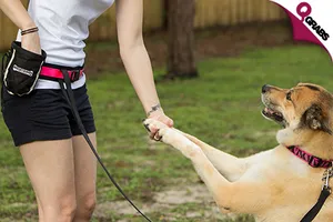 huge_700x420__21015.png